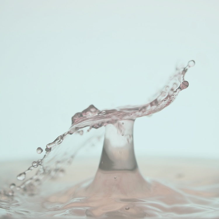 Bienvenue sur le site de Avestan