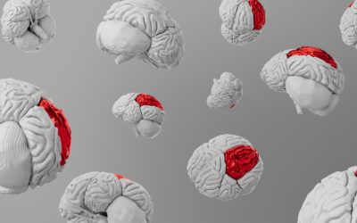 Depression and immunity: a revolution in our understanding of mental health