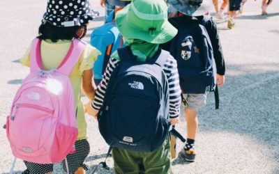 Emotional Intelligence: Key to School Success